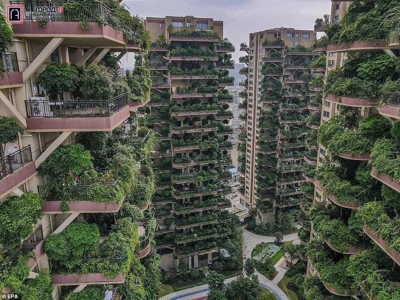 На фото - Chengdu’s Qiyi City Forest Garden, огромный жилой комплекс в Китае