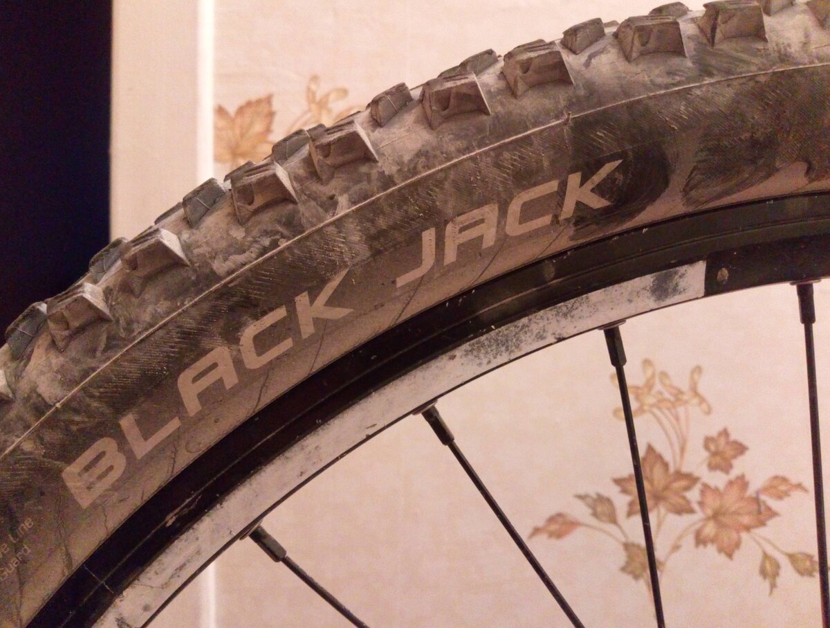 Schwalbe Black Jack 26X2.25