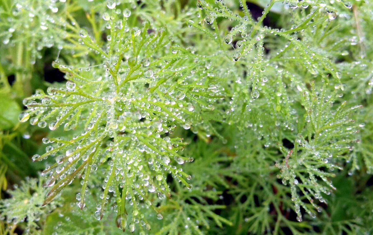 Наша жизнь на первый взгляд кажется неизменной. Взаимодействие с окружением обогащает нас каждое мгновение, как только мы научимся это замечать, наша жизнь начинает подкидывать нам подобное чудо чаще.