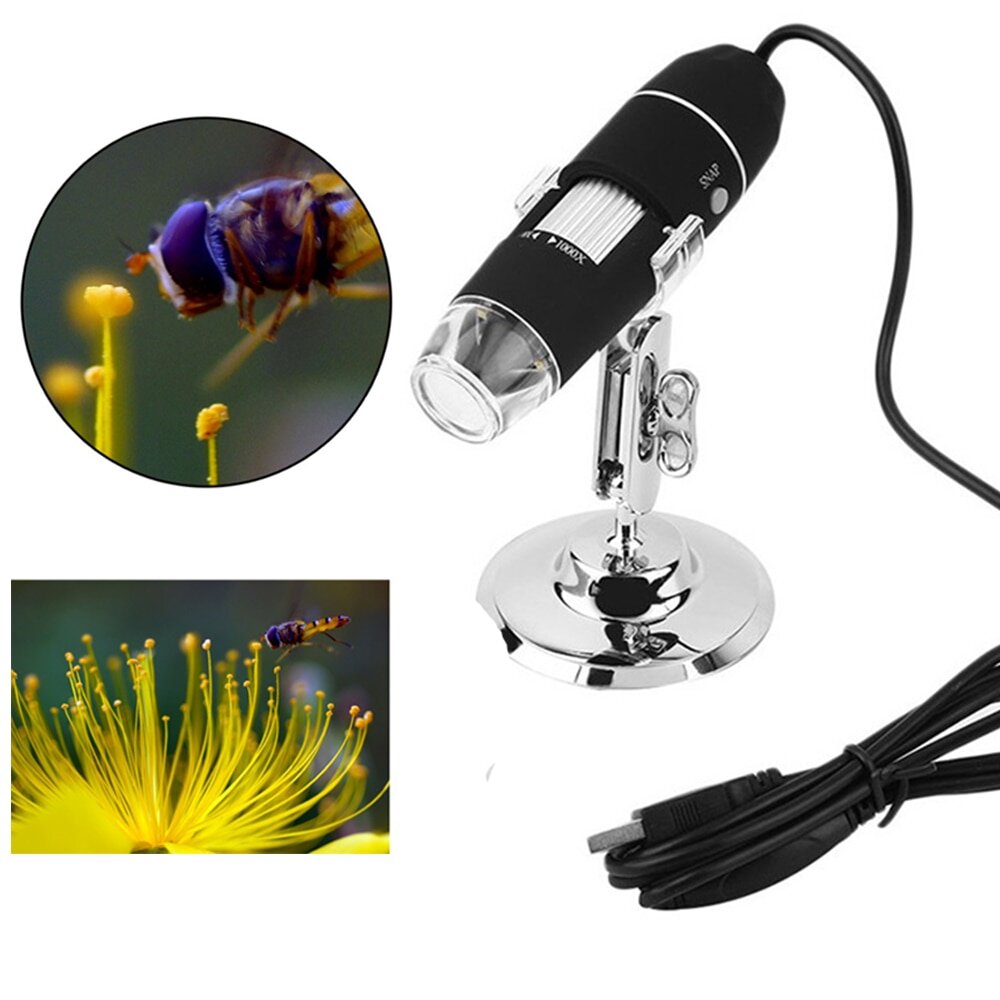 Пример работы микроскопа Lefavor 0X-1000X