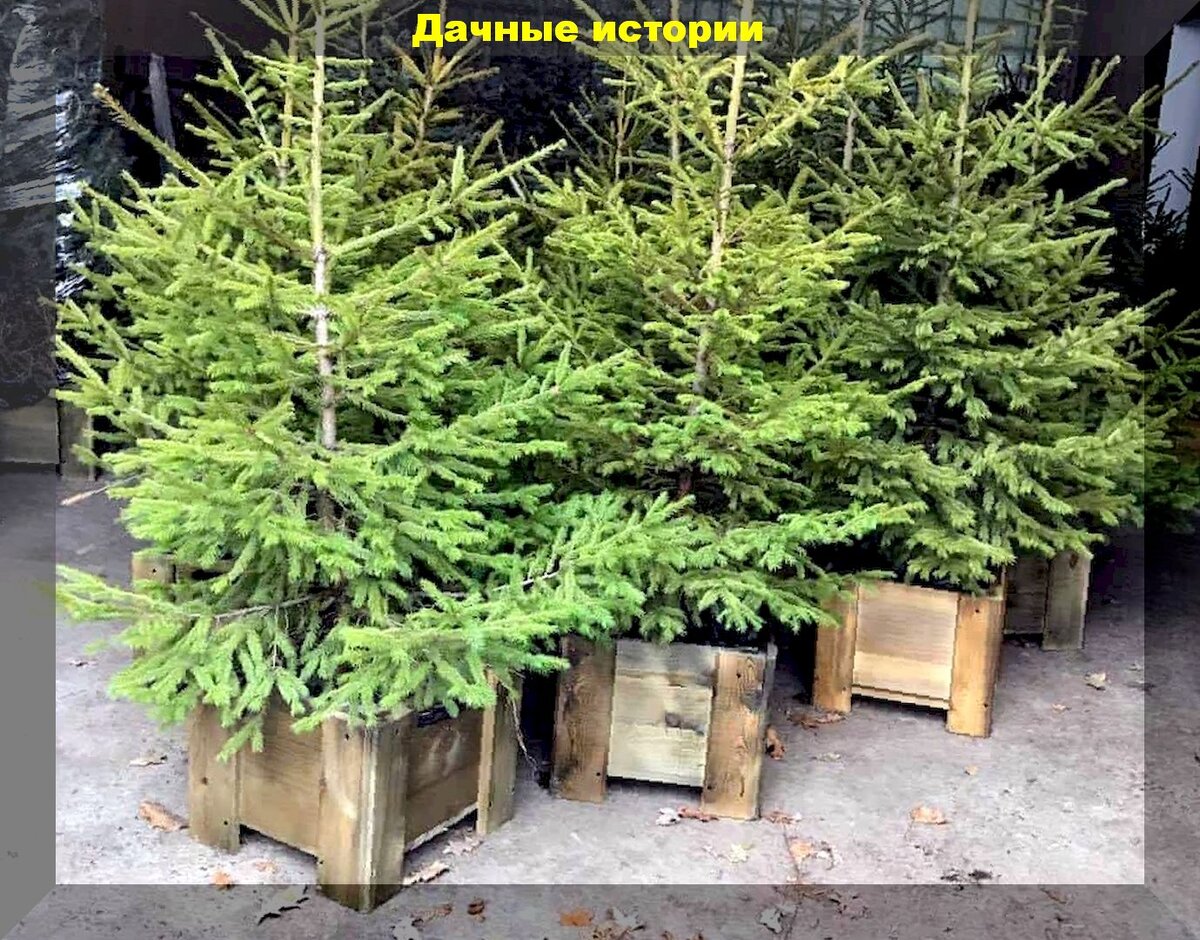 https://vk.com/photo-159774511_457244674