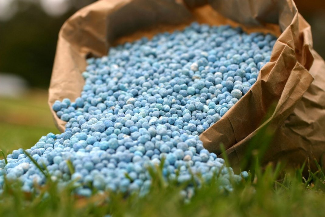https://www.seeds.org.ua/vnesenie-azotnyx-udobrenij-po-merzlo-taloj-pochve-za-i-protiv/