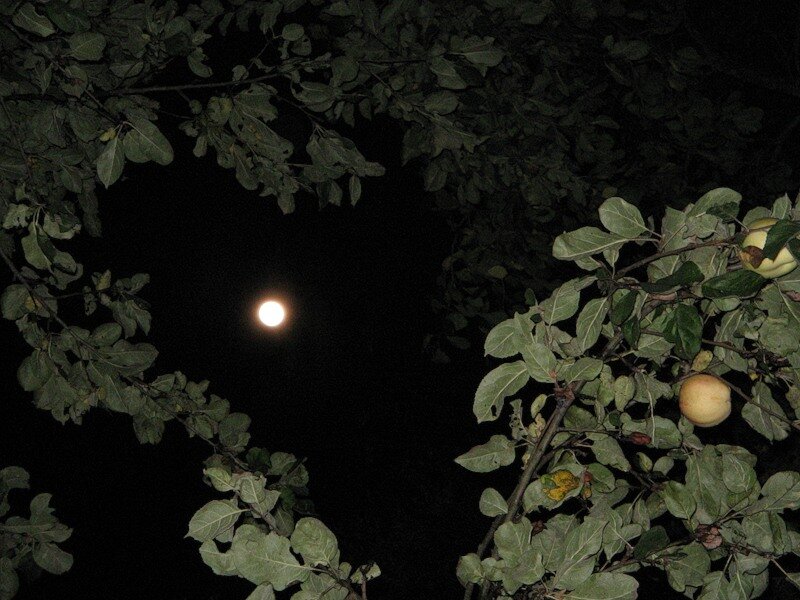 картинка из интернета