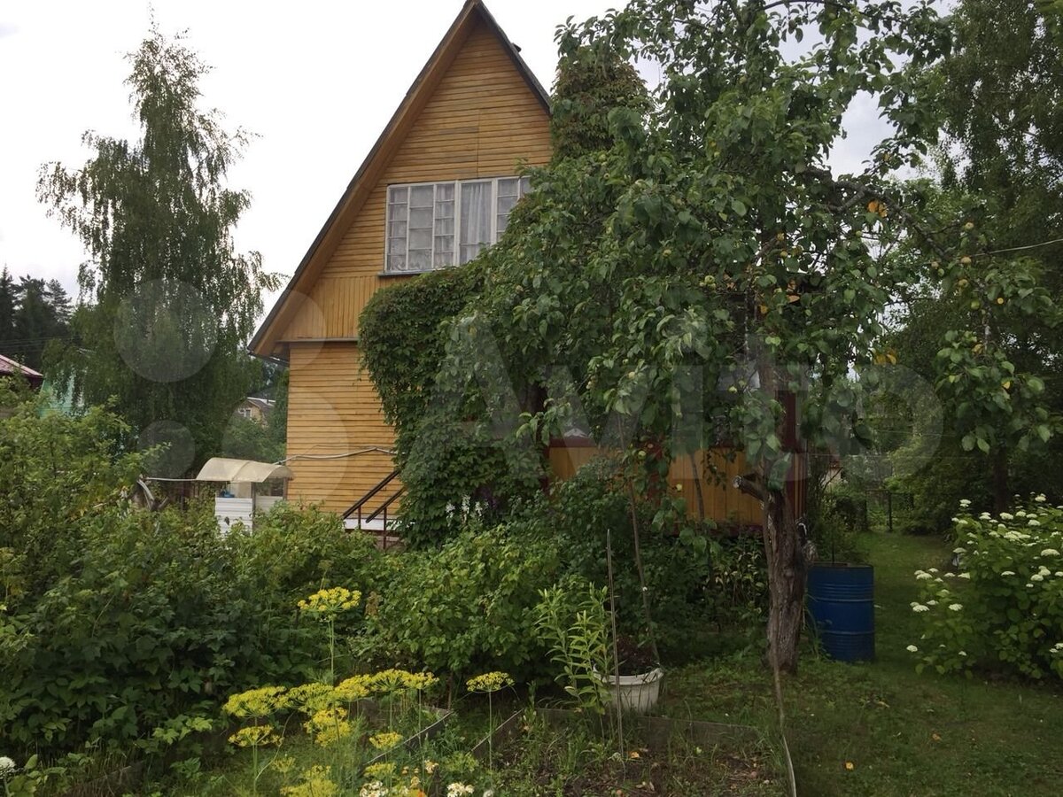 Московская область, 6 сот., источник: avito.ru