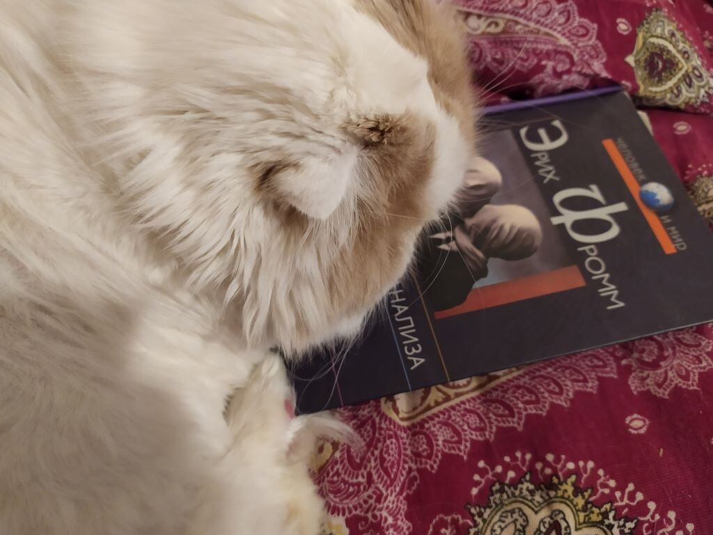 "Читайте классиков, я вас умоляю."  Иван - шотландский сын