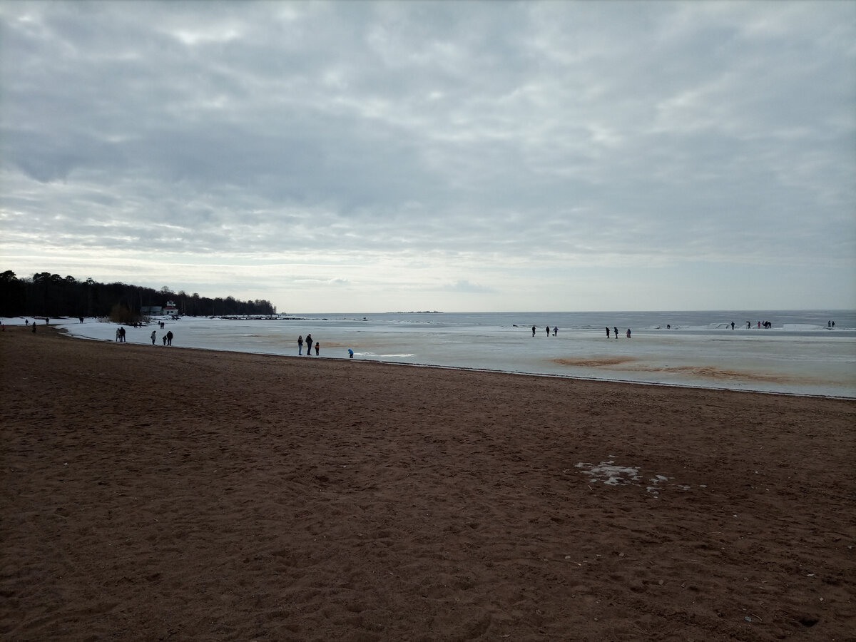 Все приехали на пляж