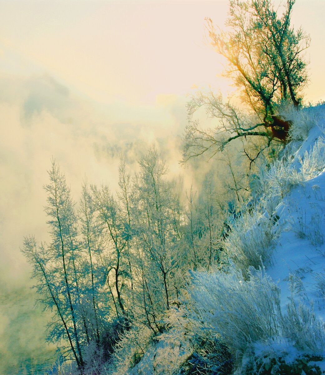 Фотография, стихотворение Василия Глуцкого