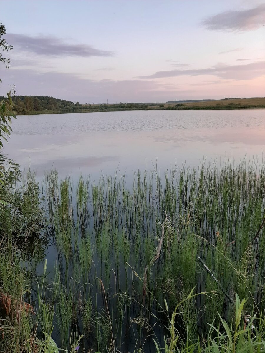 Лозовскому нередко приходилось ночевать под открытым небом и добывать себе пищу, но в условиях дикой природы его навыков было не совсем достаточно для того, чтобы прокормиться