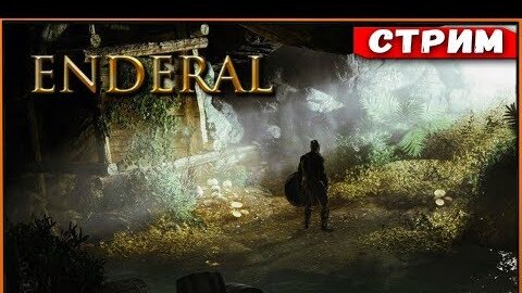 Enderal Forgotten Stories (Skyrim) перед сном | Прокачка персонажа [Стрим]