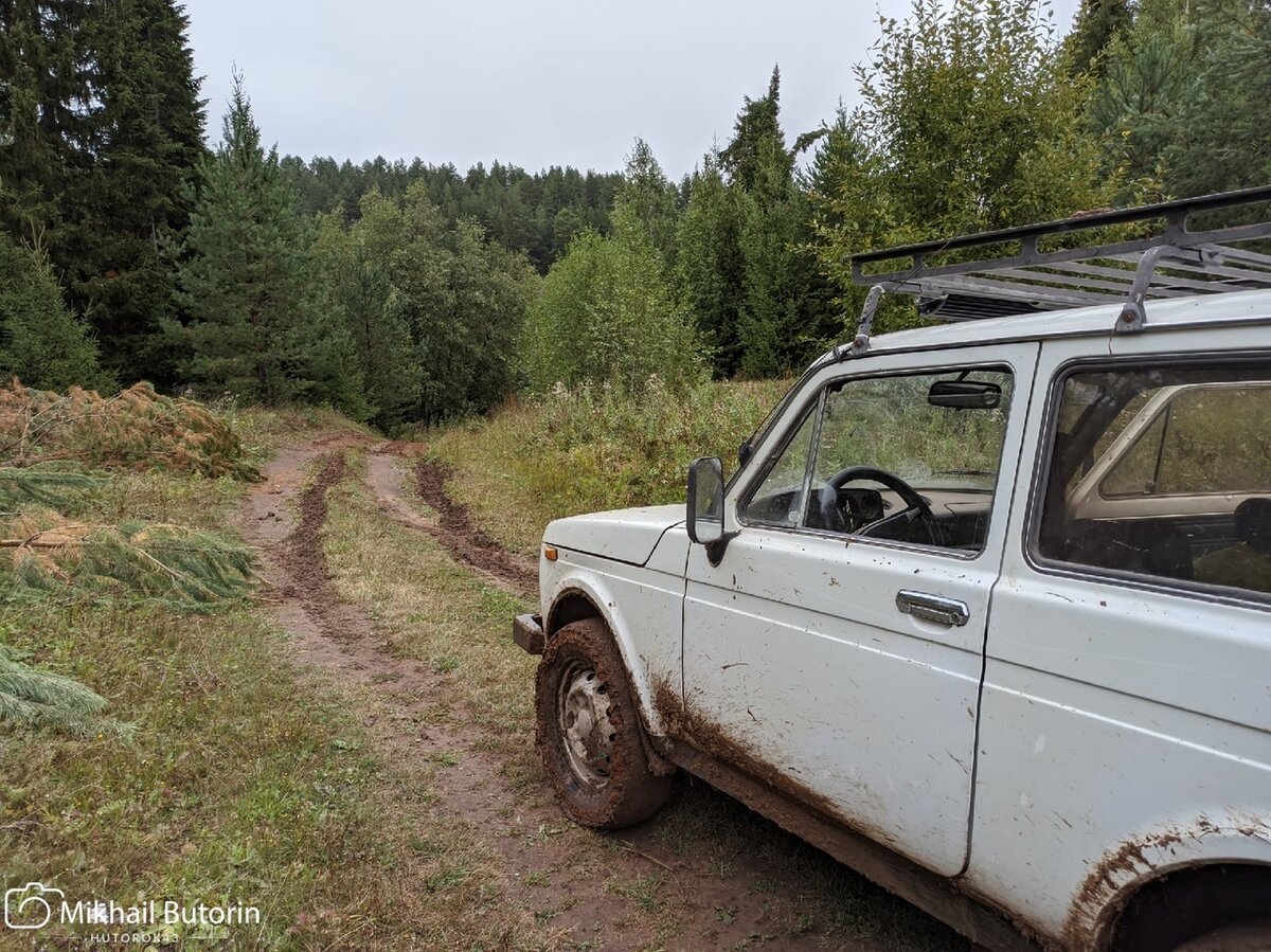 Пробовал спуститься но вернулся обратно. 