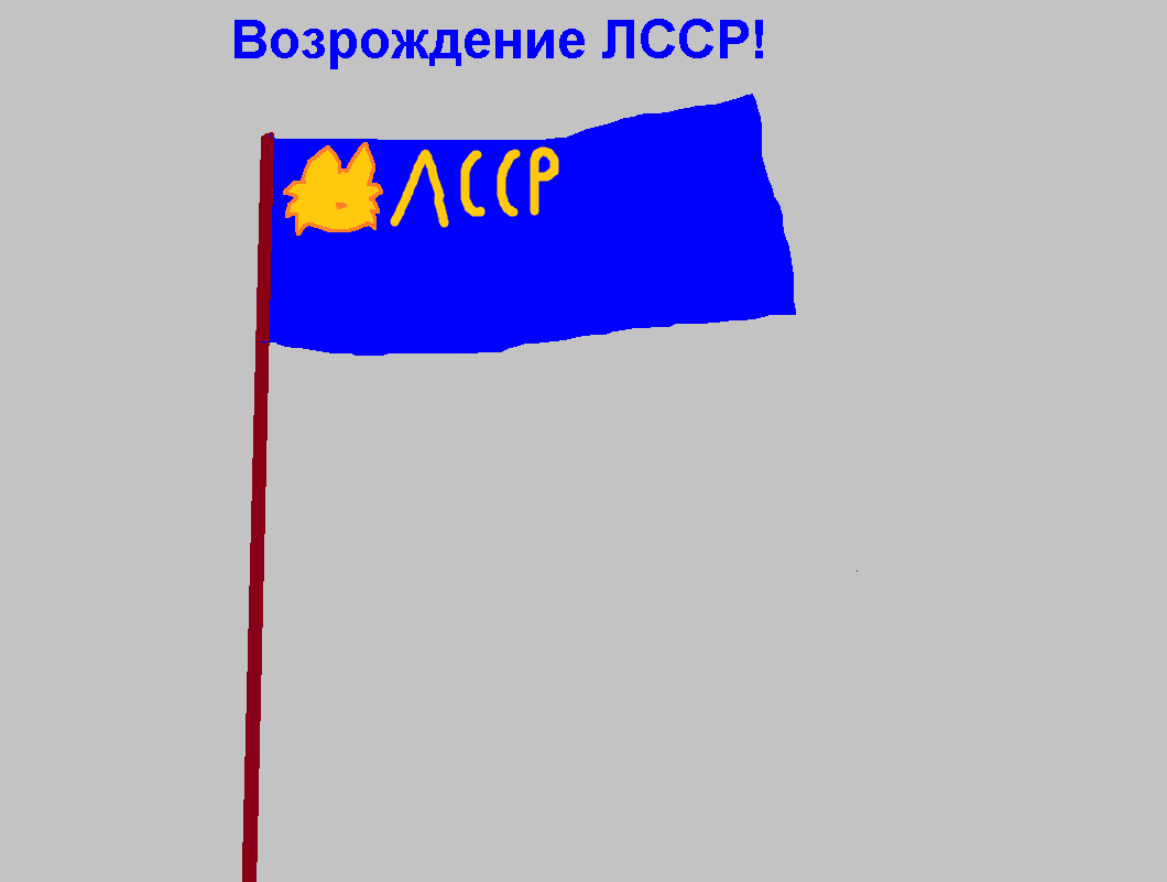 Новый флаг ЛССР. 