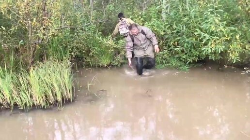 Мото покатухи в лесу и борьба с бобрами