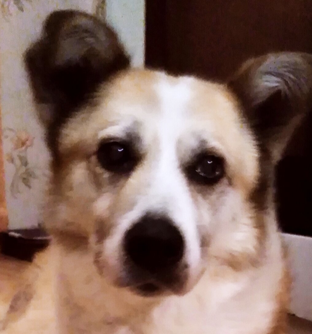 Джерри. Она жила на автостоянке рядом с техникумом.