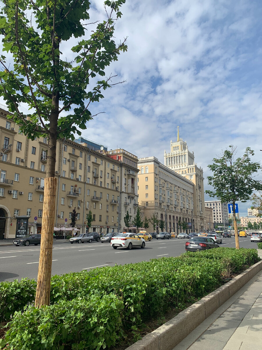 Сад «Аквариум» на Маяковской - Москва 