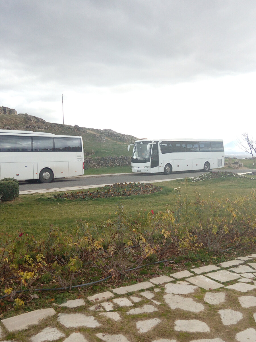 Наши автобусы