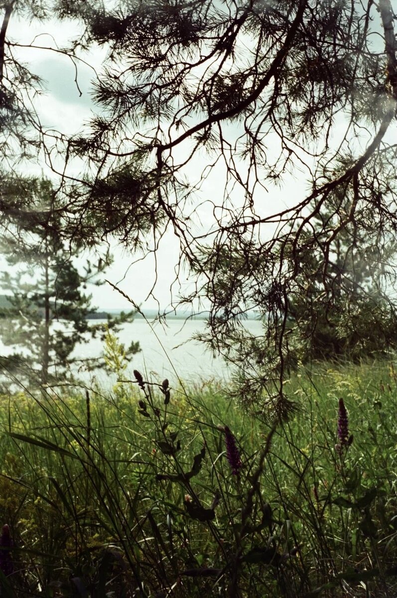 Место, где лес любуется на реку