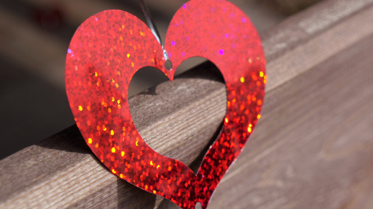 И только для него сердце будет биться чаще. Фото автора.