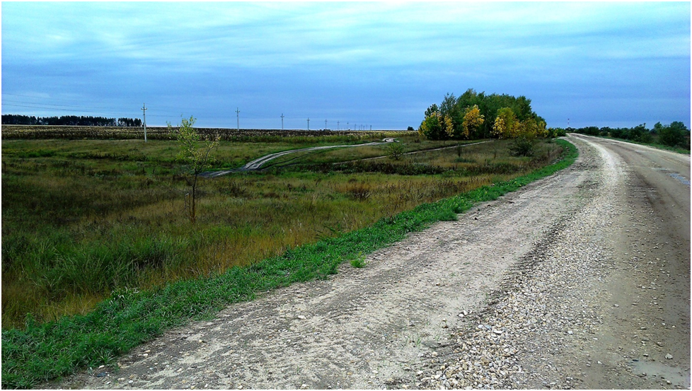 Село березовка саратовская