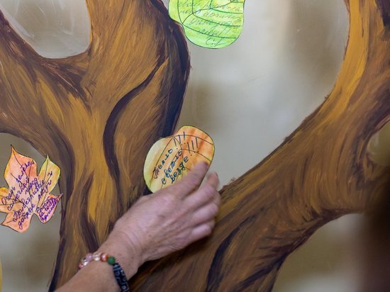   МСЦ «Содействие»