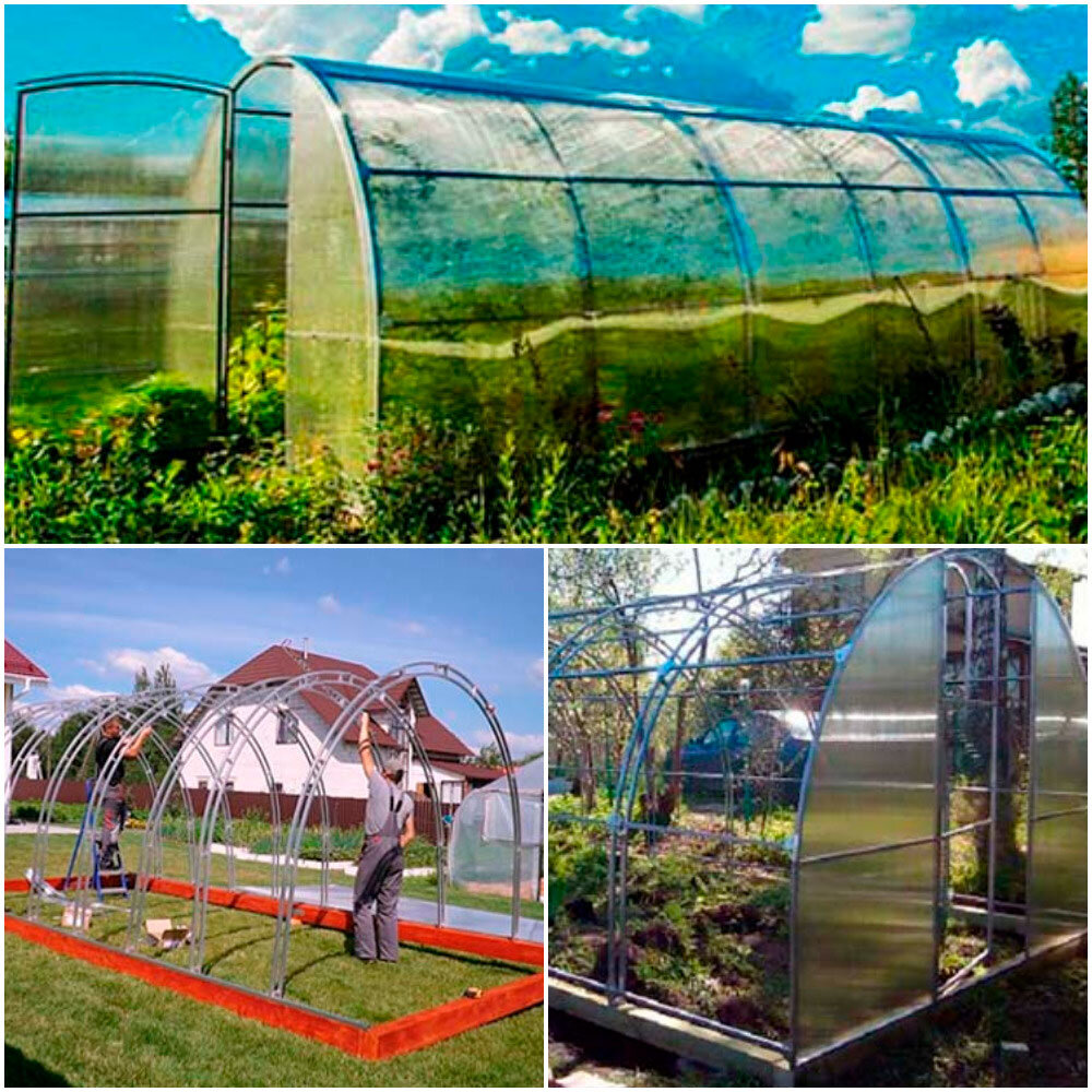 Дачная теплица с двойными дугами надежно и не дорого.