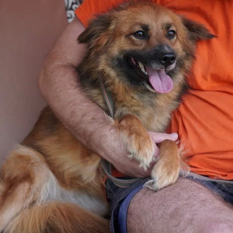 Женек в зоогостинице, спустя год.