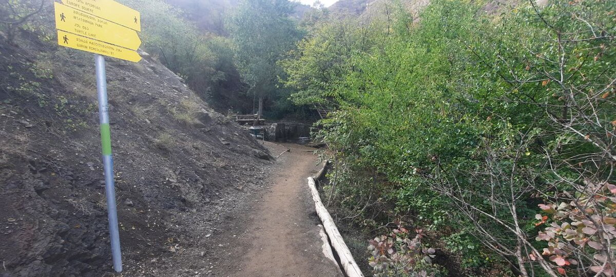 горы с родником