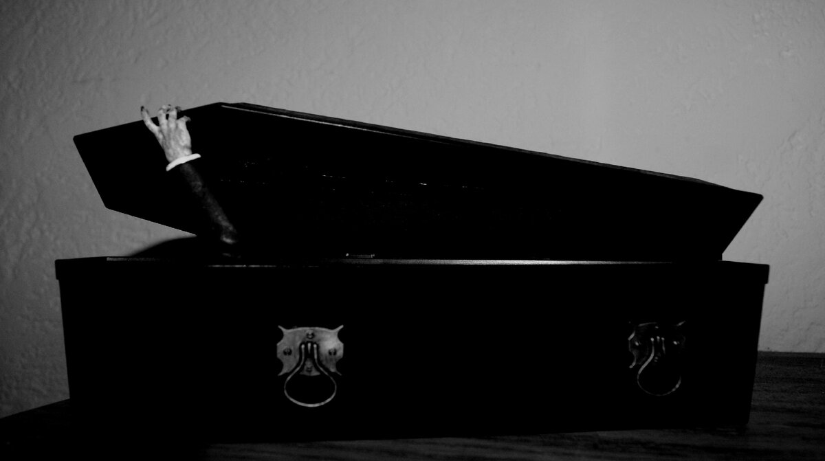 Изображение взято из открытых источников интернета. 