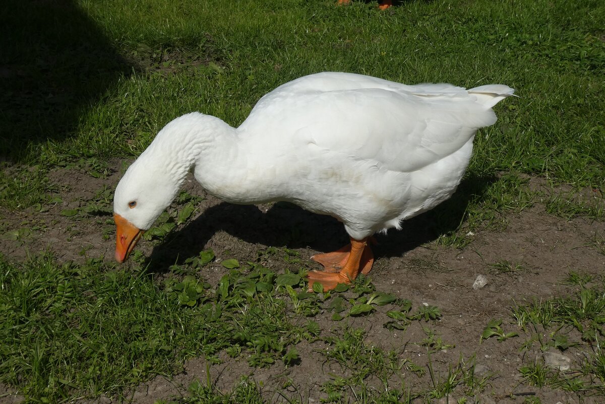 Фото с просторов интернета