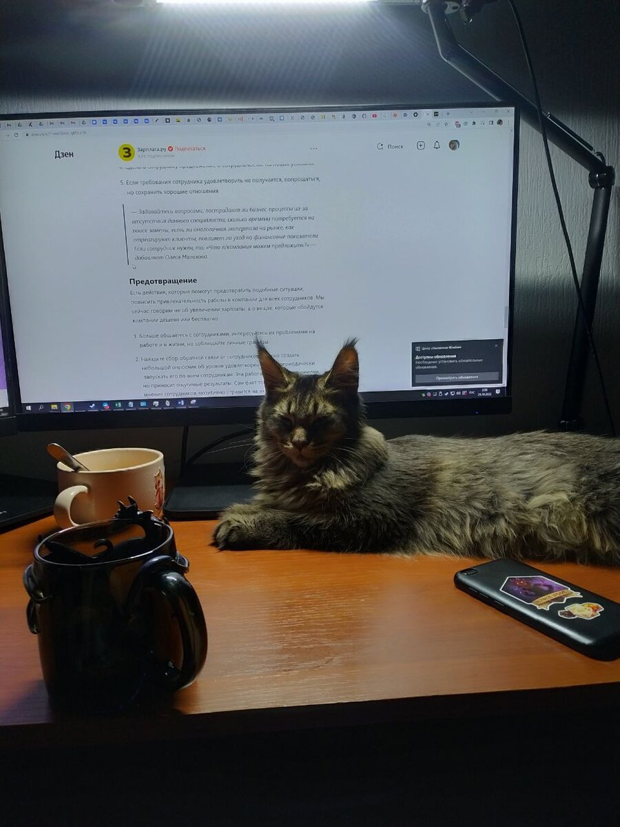 Урсула смирилась и спит, сторожа монитор.