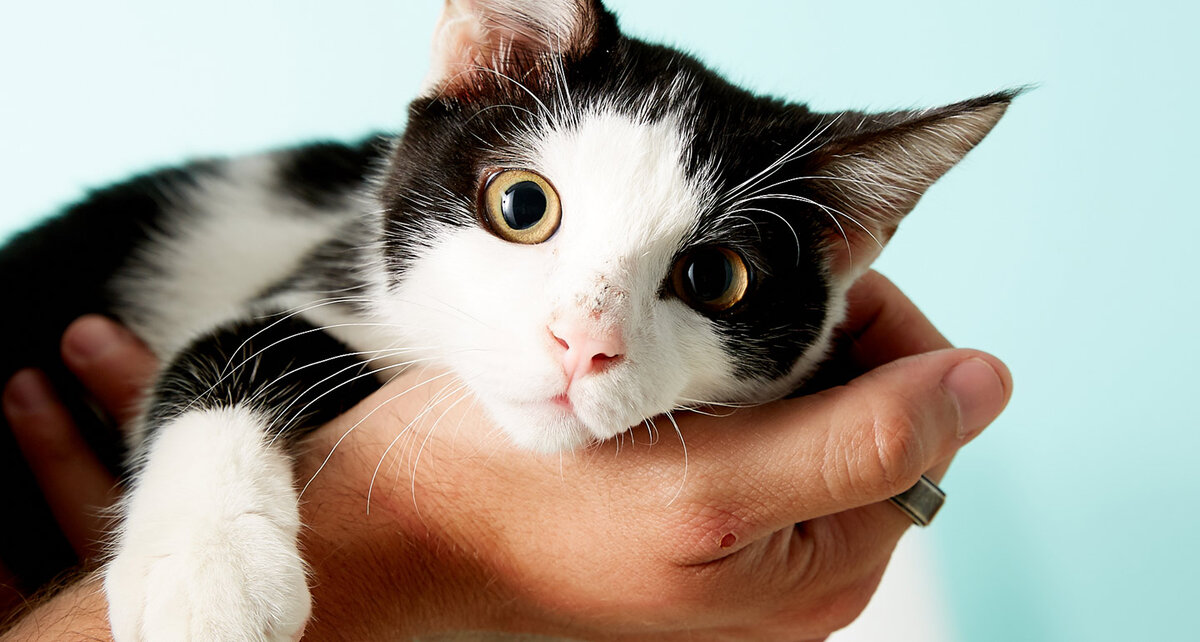 Фото из Интернета.