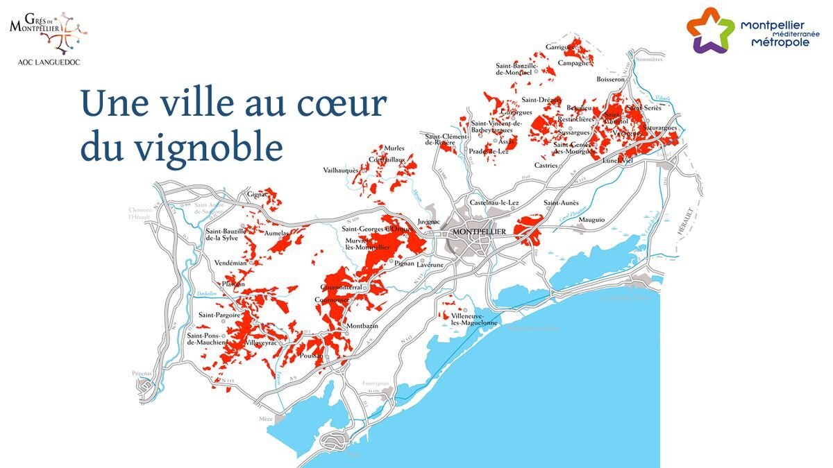 Карта  с  участками  Грес де Монпелье  (выделены красным)  