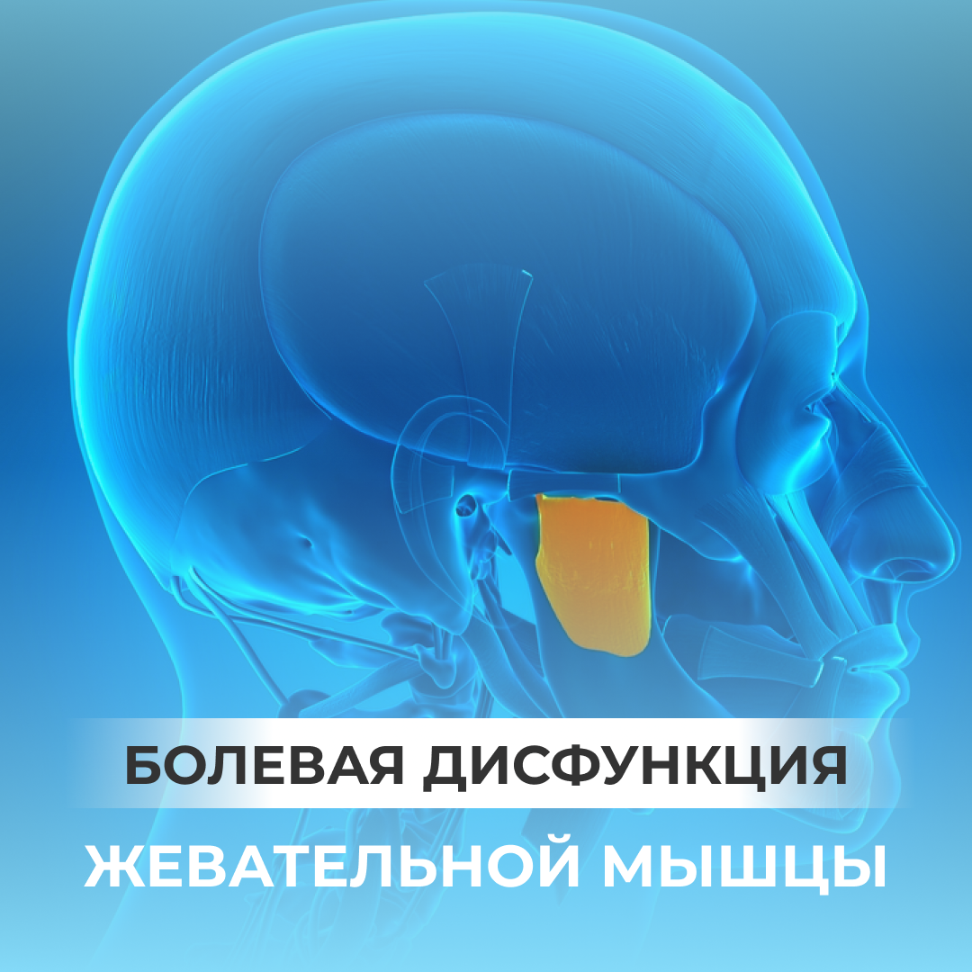 Устранение быстрой утомляемости жевательных мышц: советы и упражнения