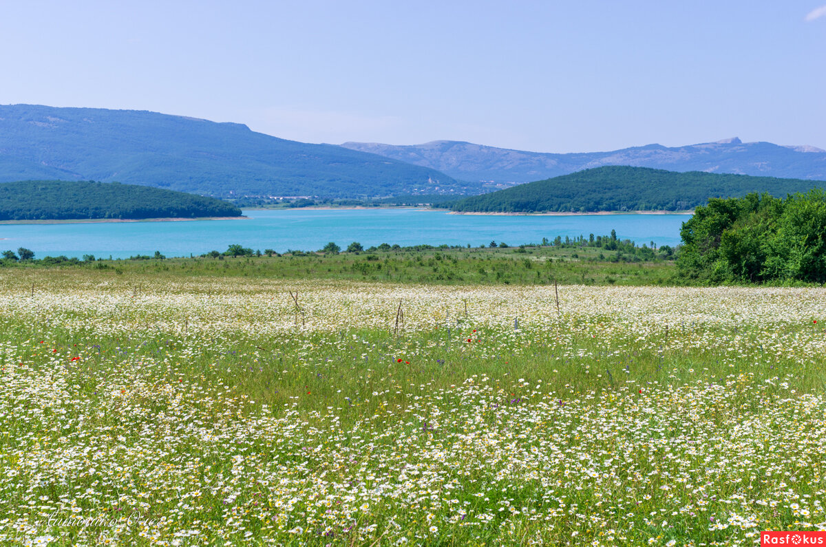 Байдарская долина в крыму фото