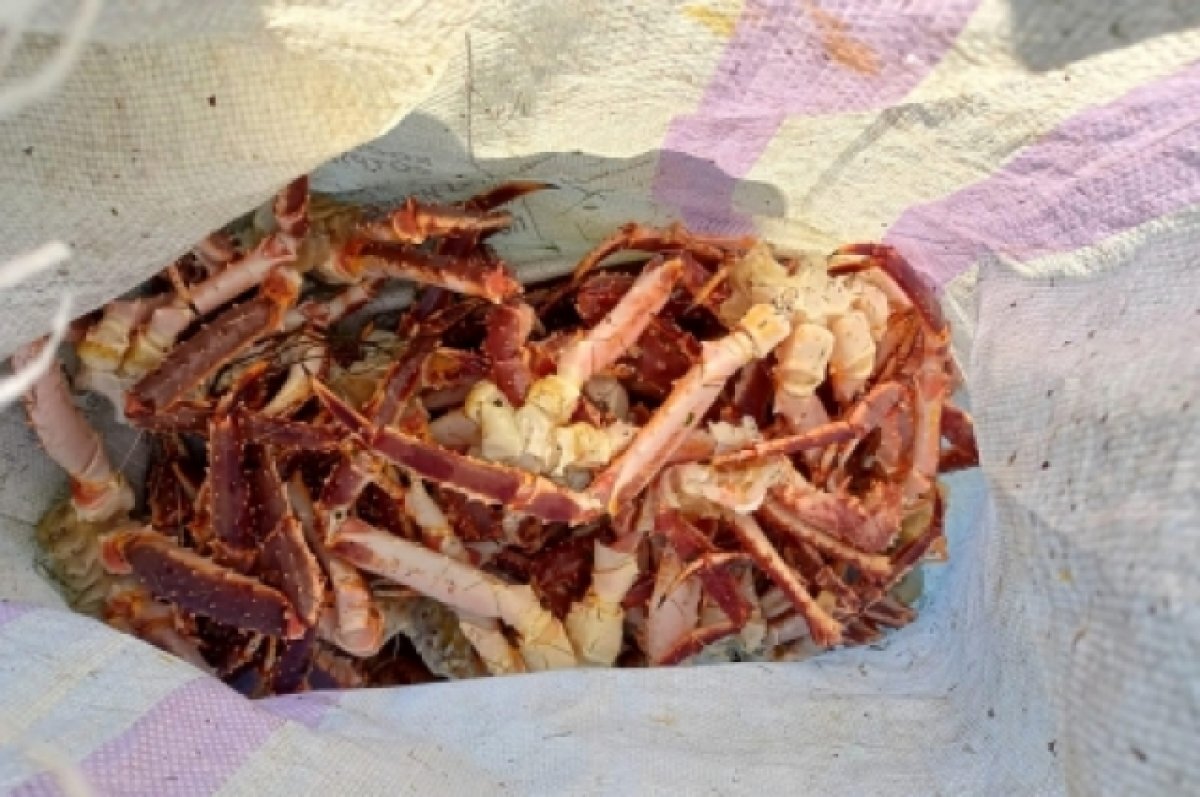    Житель Видяева выловил камчатского краба на 775 тыс. рублей