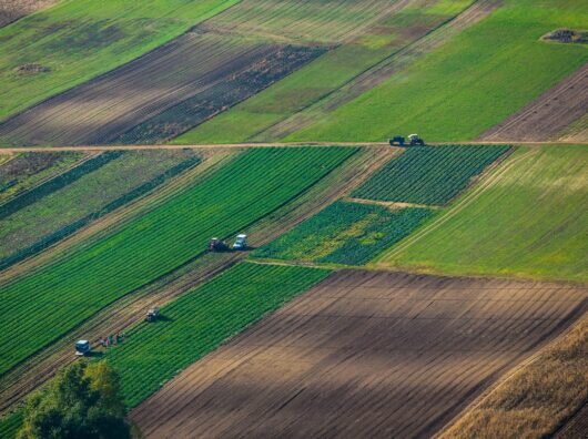    Сельскохозяйственные земли //Фото с сайта sro-rso.ru