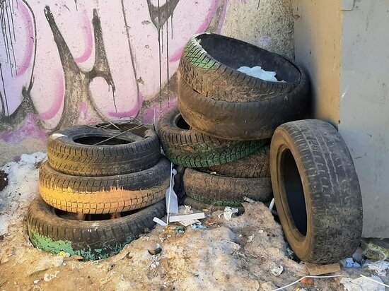     Фото: Андрей Ковалев / "МК в Томске"