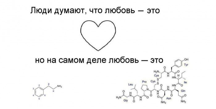 Любовь химический процесс проект