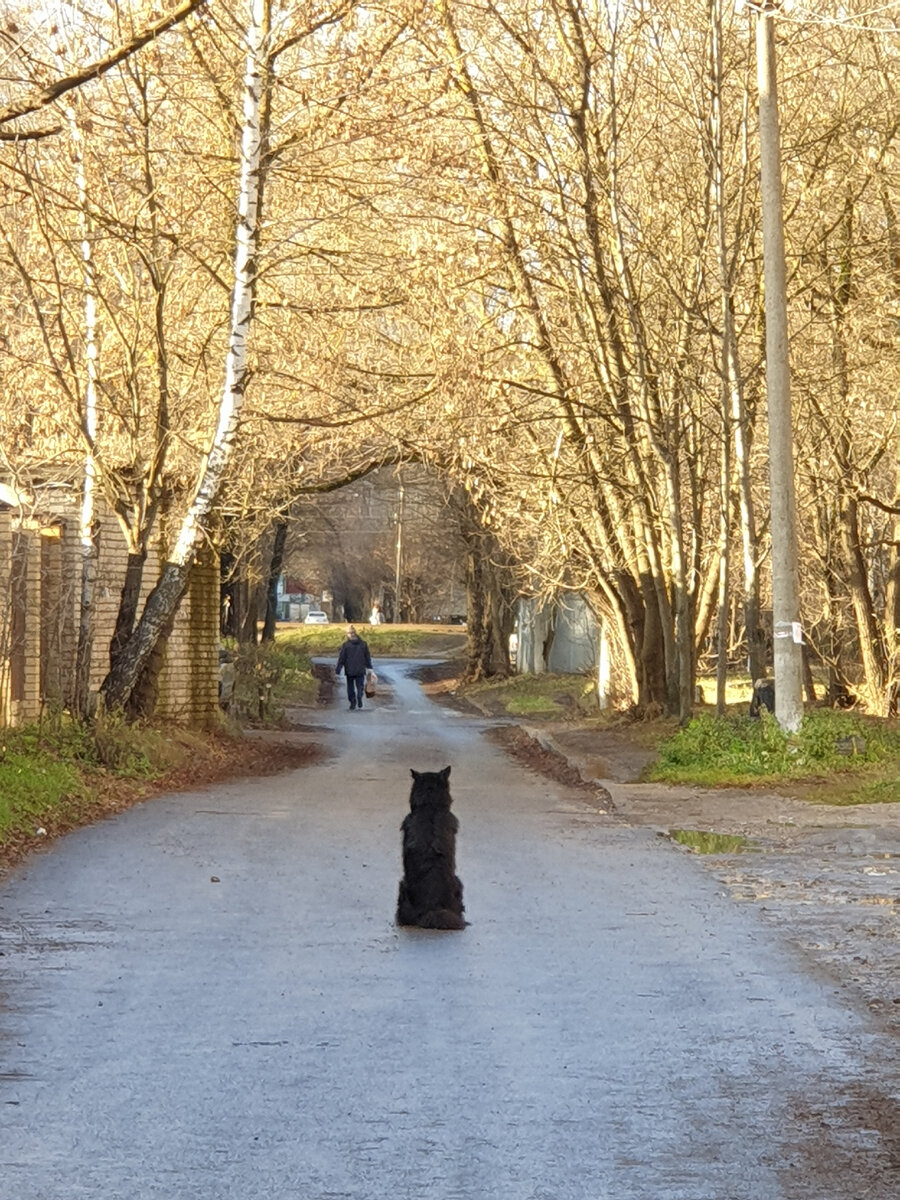 Фото автора. Ноябрь 2021