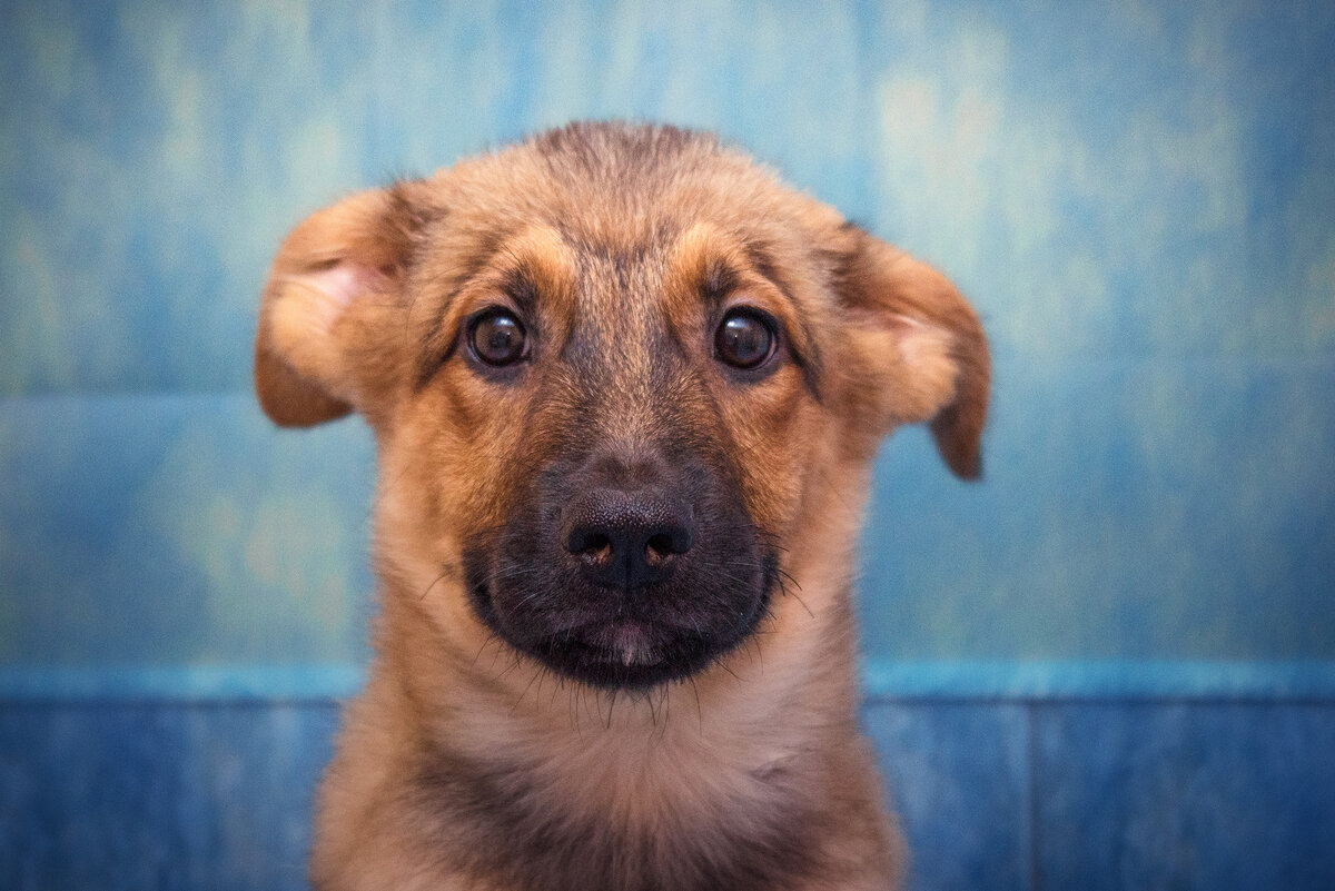 Они верят государству - очень-очень жаль...