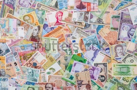 Фото: shutterstock.com 