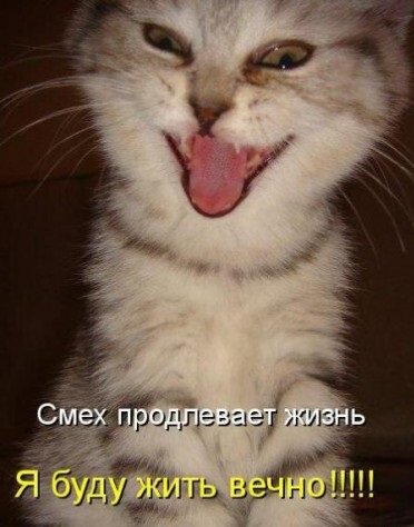 Фото взято из открытых источников