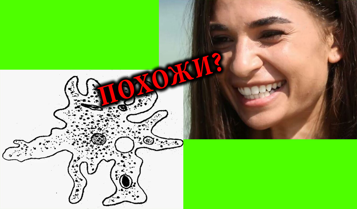 Очевидно - НЕТ!!!