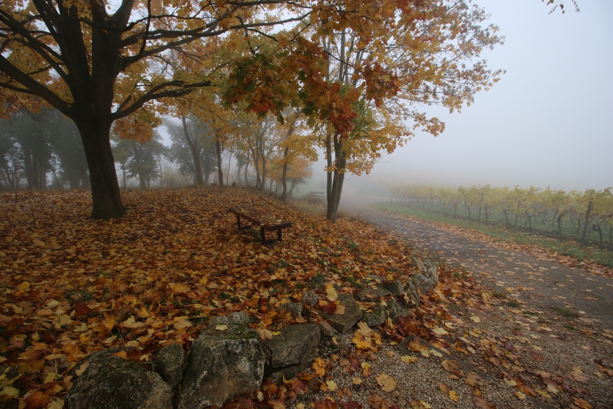 *Это картинка должна была напомнить как плохо осенью и вызвать желание приступить к формированию привычки получать удовольствие от жизни каждый день :) 