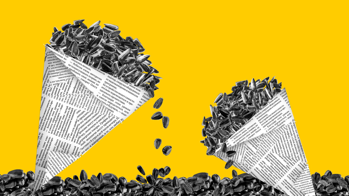 Почти все в России обожают семена подсолнечника. Некоторые втайне