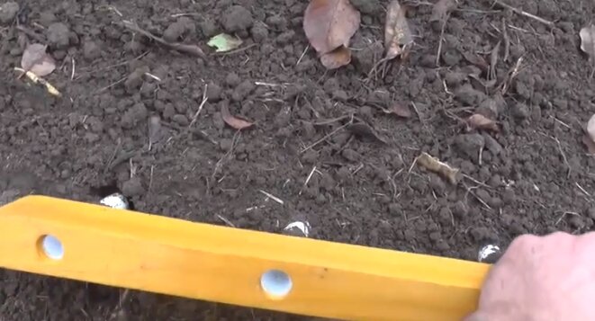 Как избавиться от пырея на участке, как вывести пырей на огороде