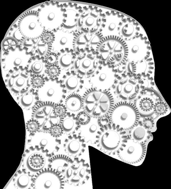 https://cdn.pixabay.com/photo/2015/06/22/08/41/head-817375_960_720.png