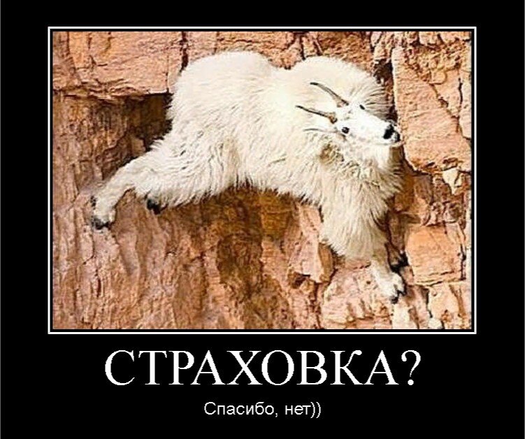 Картинки про страхование прикольные