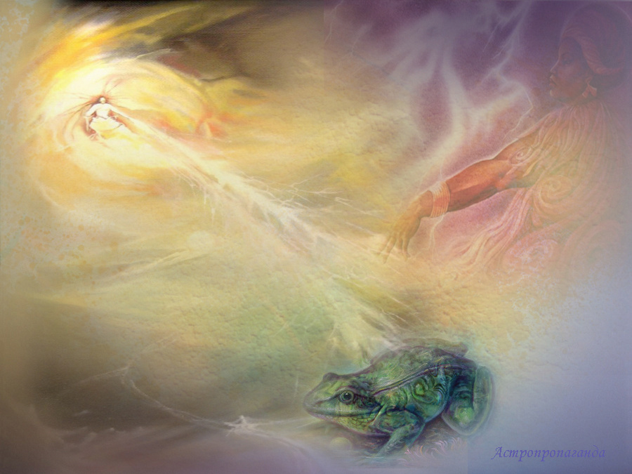 Коллаж Нины Стрелковой.