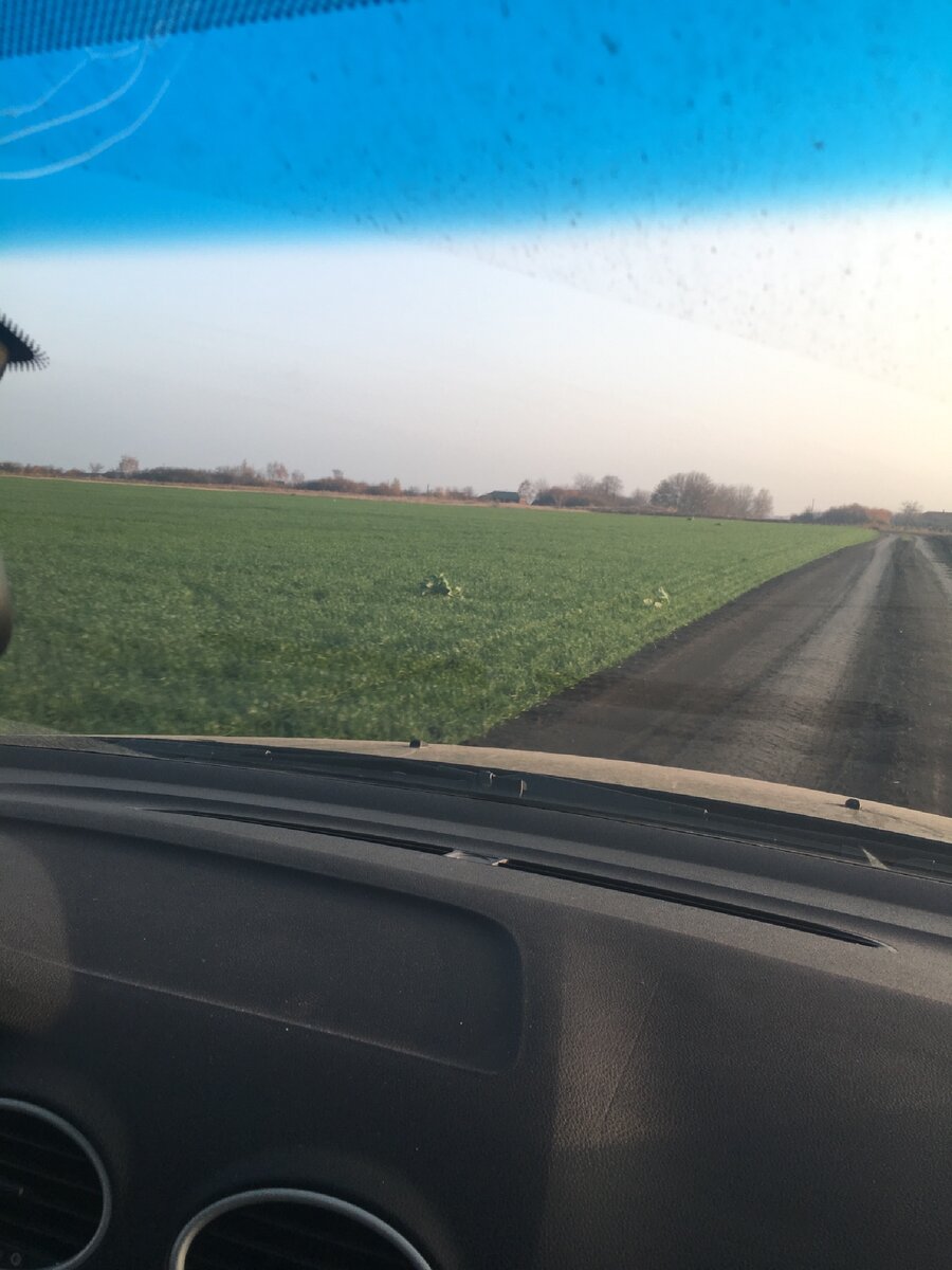 На полях уже взошли озимые, светило солнышко и было полное ощущение ранней весны