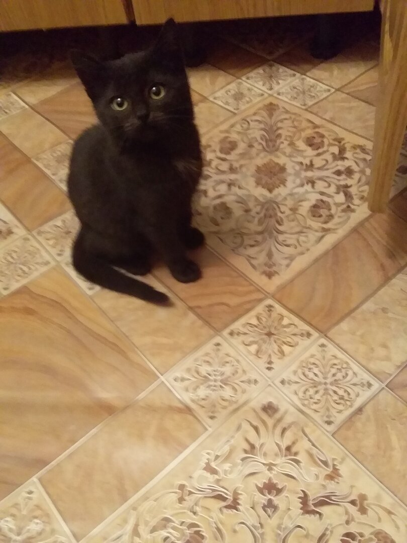 Смотрите, какая маленькая прелесть)